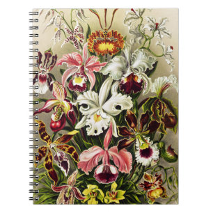 Orchideen, Orchideae Denusblumen Ernst Haeckel Notizblock