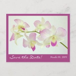 Orchideen Postcard, Save the Date! Ankündigungspostkarte