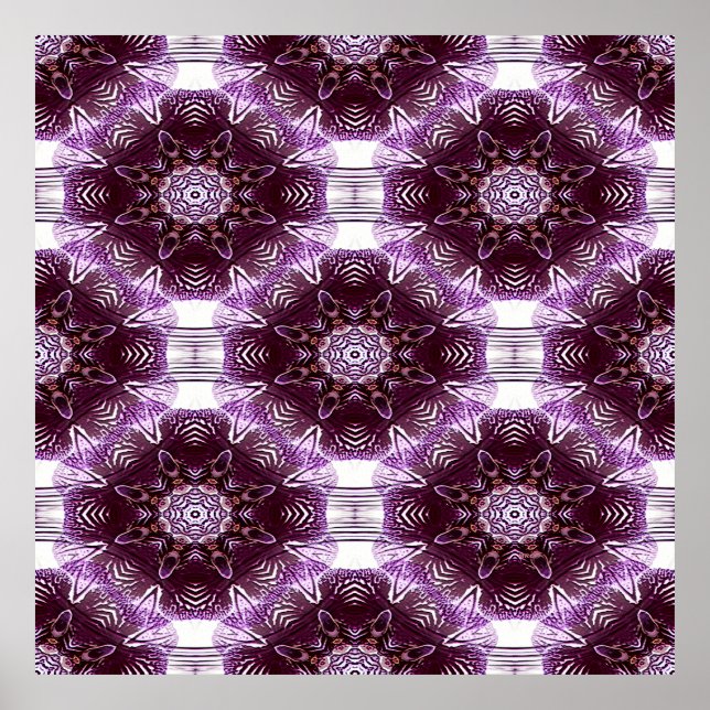 Orchideen...... Poster (Vorne)