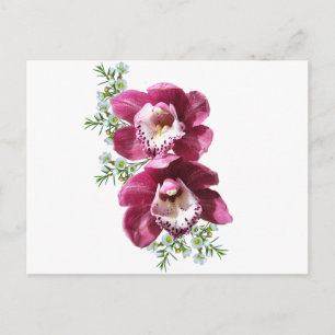 Orchideen Postkarte