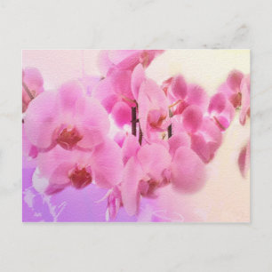 Orchideen. Postkarte