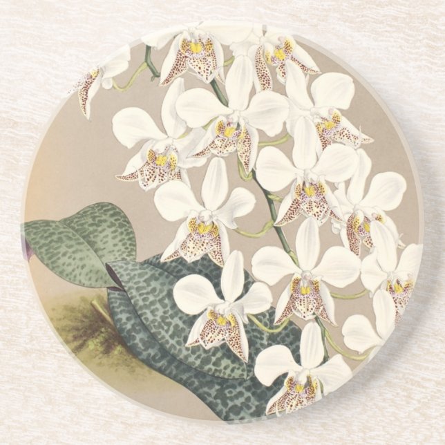 Orchideen Sandstein Untersetzer (Vorne)