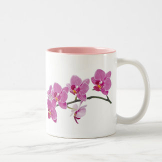 ORCHIDEEN-SCHALE ZWEIFARBIGE TASSE