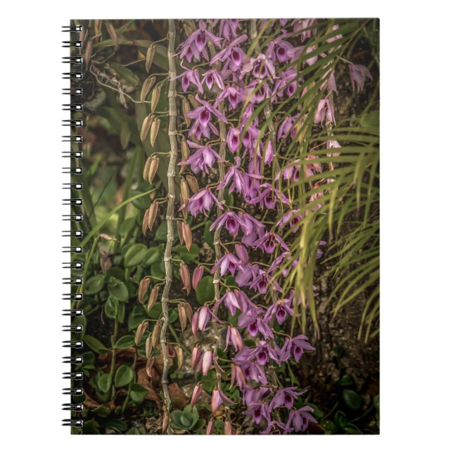 Orchideen-Spiral-Notizbuch Notizblock (Vorderseite)