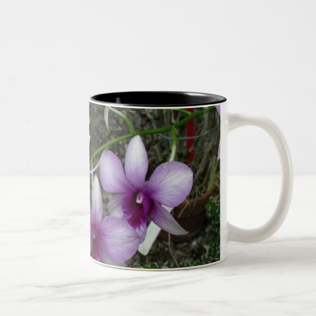 Orchideen-Tasse 5 Zweifarbige Tasse (Rechts)