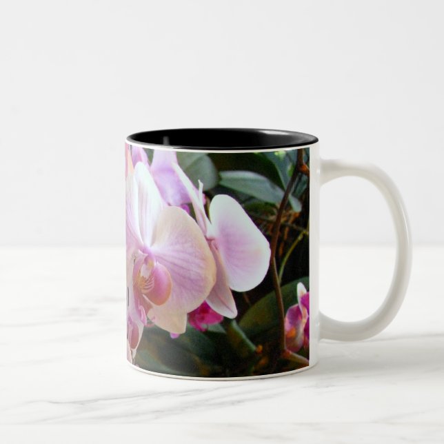 Orchideen-Tasse 6 Zweifarbige Tasse (Rechts)