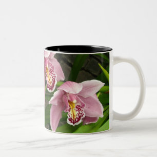 Orchideen-Tasse 8 Zweifarbige Tasse