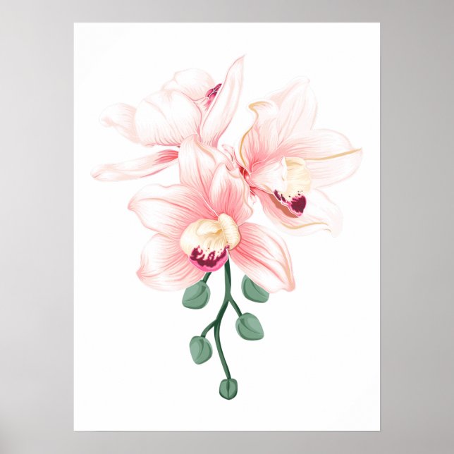 Orchideen und Blume schneiden Pflanze Boat Orchid  Poster (Vorne)