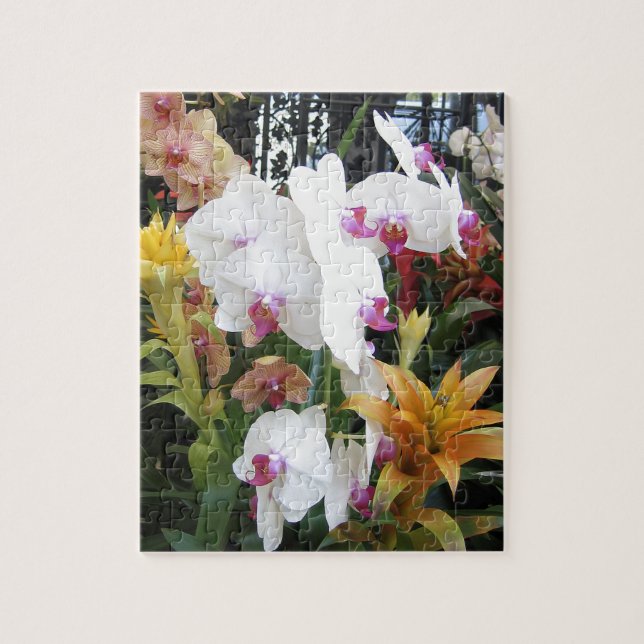 Orchideen und Eisen (Vertikal)