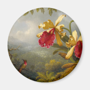 Orchideen und Hummingbird Heade Magnet
