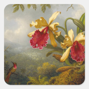 Orchideen und Hummingbird Heade Quadratischer Aufkleber