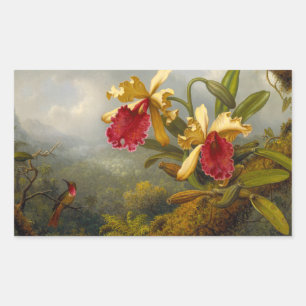 Orchideen und Hummingbird Heade Rechteckiger Aufkleber