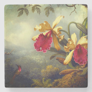 Orchideen und Hummingbird Heade Steinuntersetzer