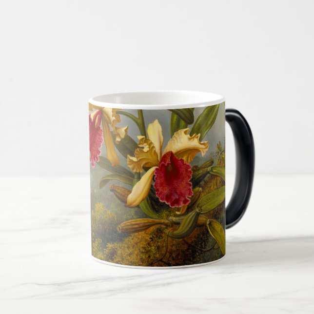 Orchideen und Hummingbird Heade Verwandlungstasse (VorderseiteRechts)
