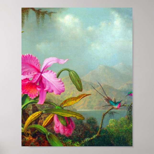 Orchideen und Hummingvögel von Martin Johnson Head Poster (Vorne)