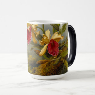 Orchideen und Kolibris Kopf Verwandlungstasse