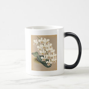 Orchideen Verwandlungstasse