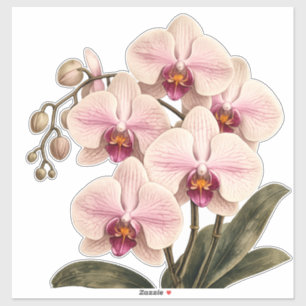 Orchideen-Vinyl-Aufkleber Aufkleber