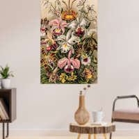 Orchideen von Ernst Haeckel