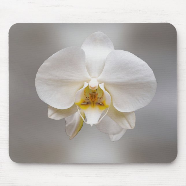 Orchideenblüte Mousepad (Vorne)