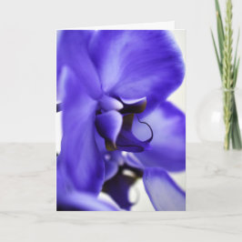 Orchideenblüten-Blumenfotografie, 5x7 Grußkarte Karte