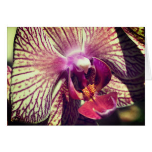 Orchideenblüten Nahaufnahme Fotografie Notizkarte