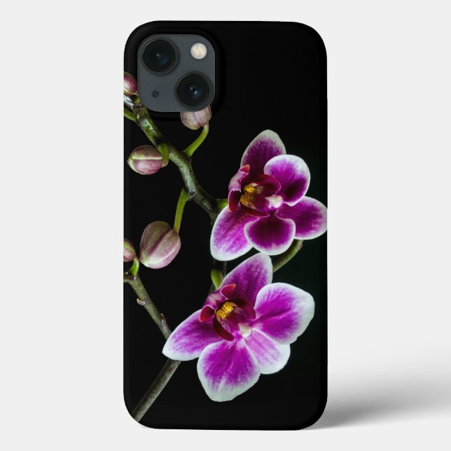 Orchideenfarbe in rosa Farbe in schwarz Case-Mate iPhone Hülle (Rückseite)