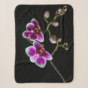 Orchideenfarbe in rosa Farbe in schwarz Sherpadecke