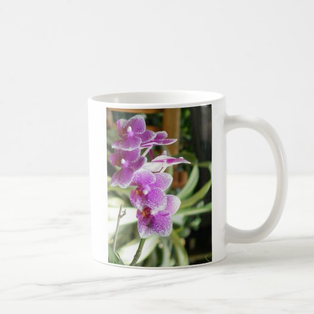 Orchideenkaffee-Tassen-Blumen Kaffeetasse (Rechts)