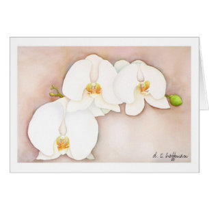 Orchideenkarte