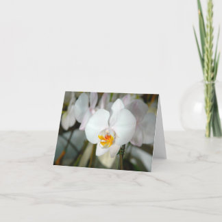Orchideenkarte Karte