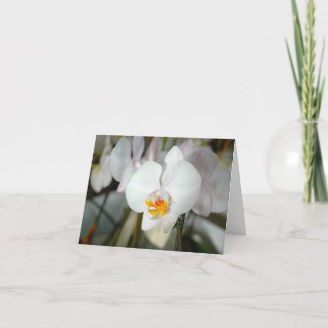 Orchideenkarte Karte (Vorderseite)