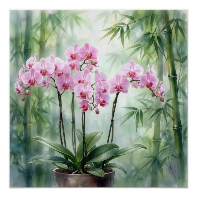 Orchideenpflanze in Rosa auf Bambushintergrund Poster (Vorderseite)