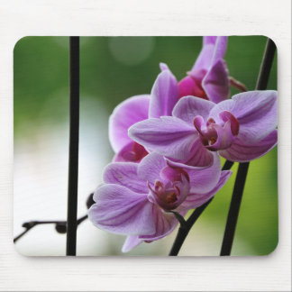 Orchideenpolster Mousepad