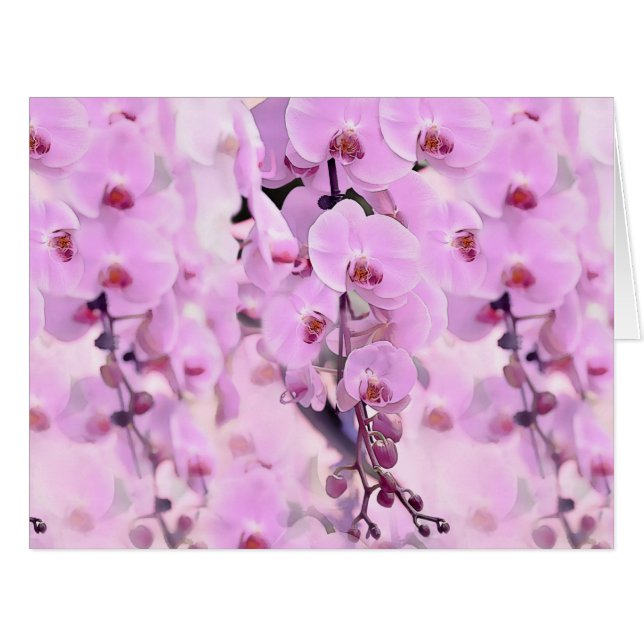 Orchideentraum (Vorderseite (Horizontal))