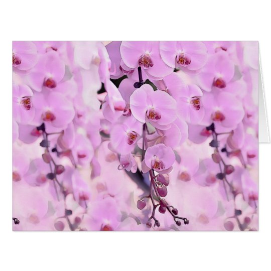 Orchideentraum Karte