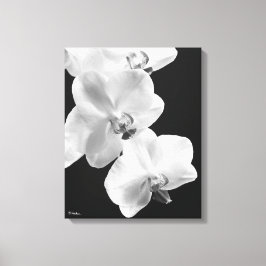 Orchidées 16X20 en toile blanche et noire