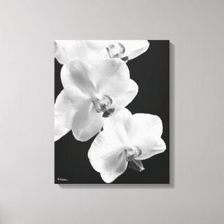 Orchidées 16X20 en toile blanche et noire