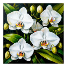 Orchidées Blanches Luxueuses Décoration & Cadeau