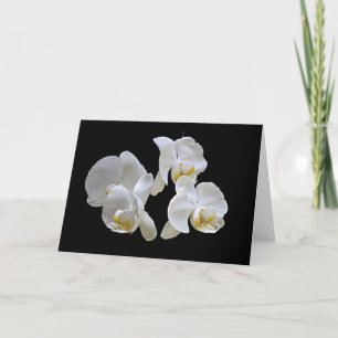 Orchidées blanches sur le noir - carte élégante