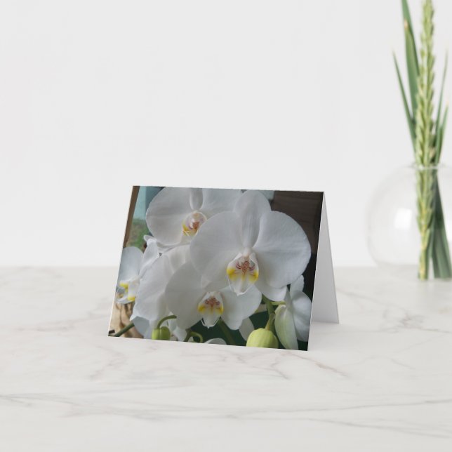 Orchidées de papillon blanc sur une carte blanche (Devant)