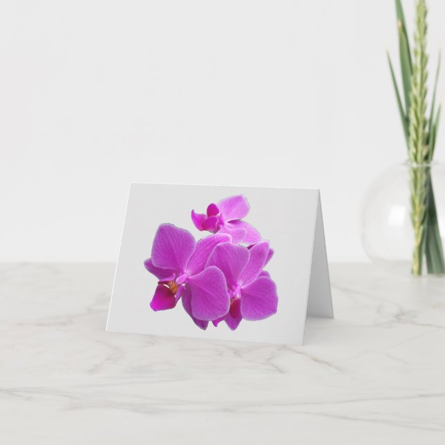 Orchidées de papillons Fuchsia sur une Carte de re (Devant)