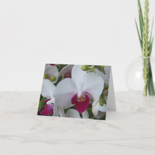 Orchidées de papillons pourpres et blancs Carte bl