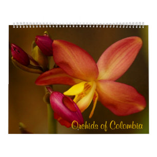 Orchidées du calendrier 2014 de la Colombie