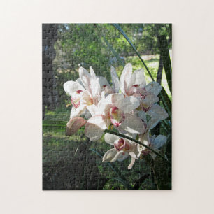 Orchidées en fleurs dans le puzzle du printemps