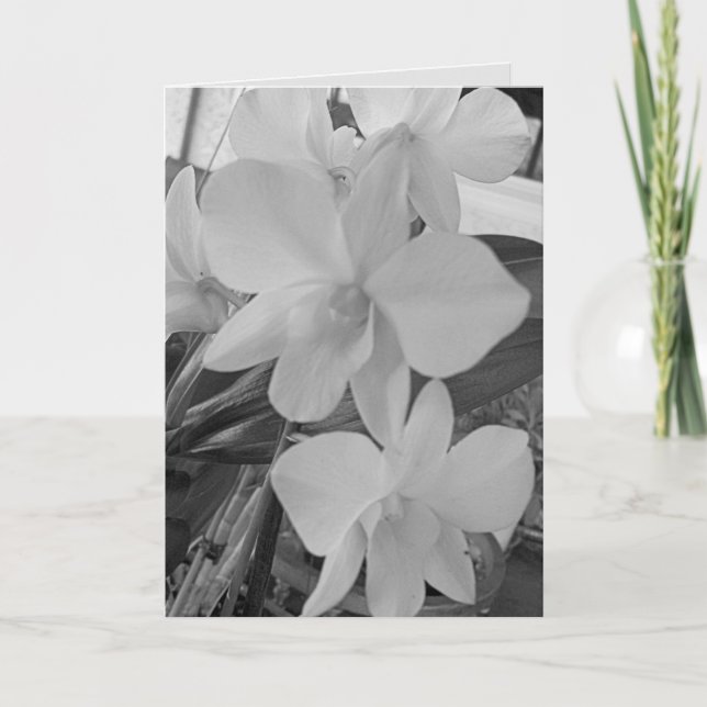 Orchidées en niveaux de gris sur une carte de symp (Devant)