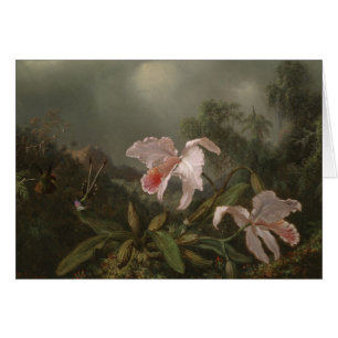 Orchidées et colibris de jungle