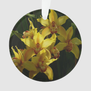 Orchidées Jaunes Sunlit Floral