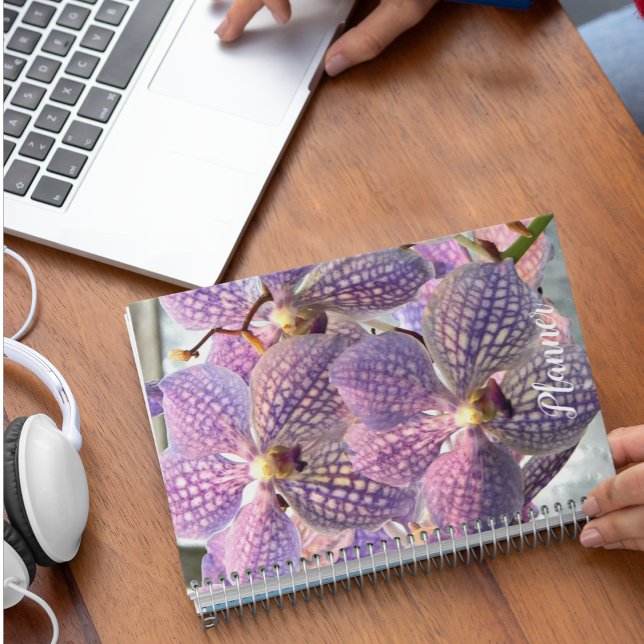 Orchidées violettes Vanda Floral (In Situ)