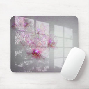 Orchids Blüten im Fensterschatten Mousepad